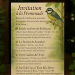 Les Oiseaux De Passage - D Hotes, Paisible 3* Gaillon