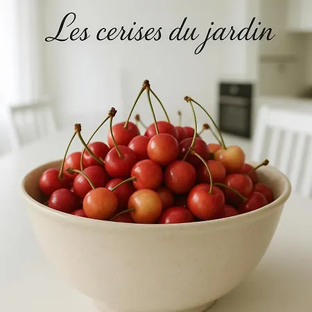 فندق مبيت وإفطار Les Oiseaux De Passage - D Hotes, Paisible Gaillon