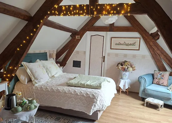 Les Oiseaux De Passage - D Hôtes, Paisible 3* Gaillon